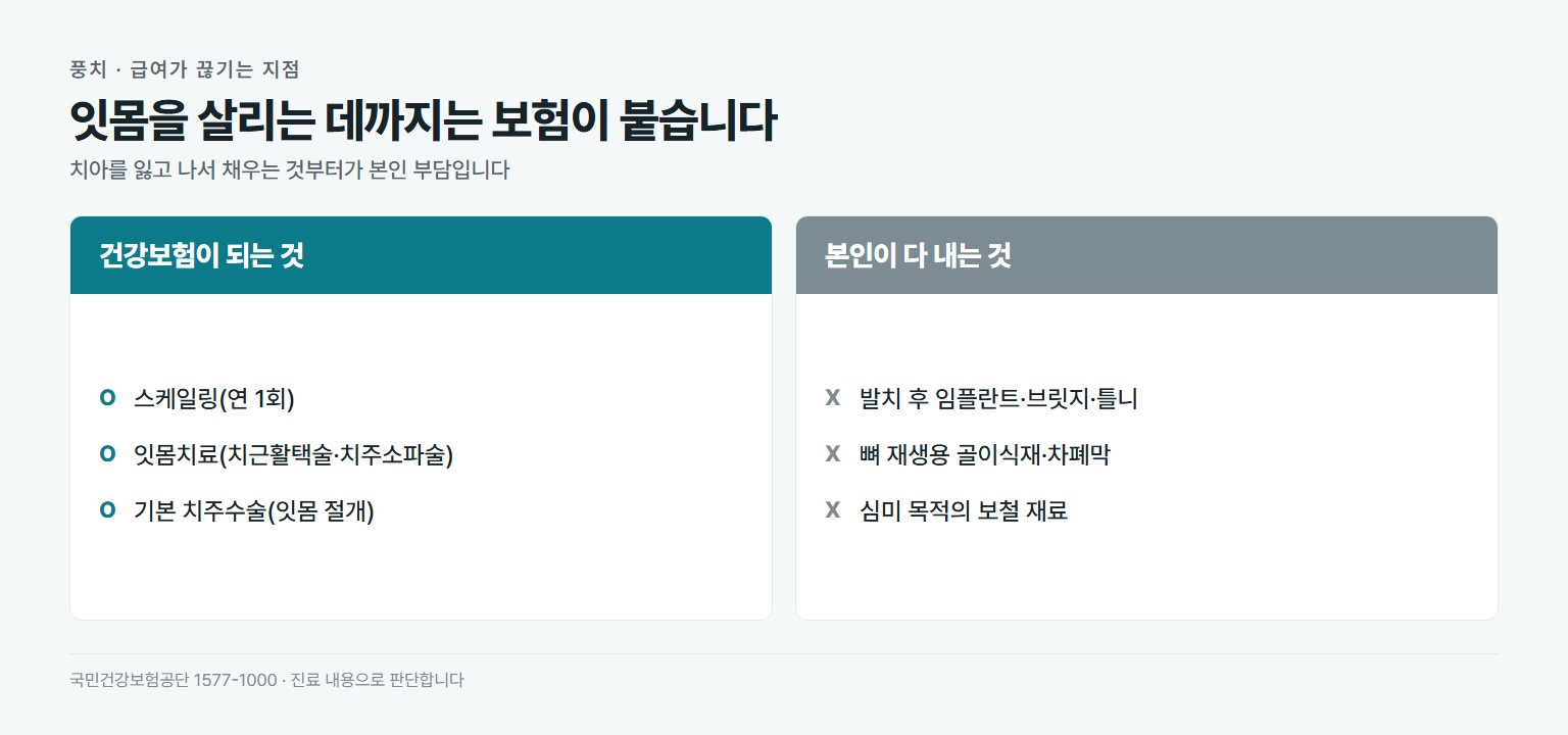 풍치 치료 건강보험 적용 비교. 급여는 스케일링 연 1회, 잇몸치료 치근활택술과 치주소파술, 기본 치주수술. 비급여는 발치 후 임플란트와 브릿지와 틀니, 뼈 재생용 골이식재와 차폐막