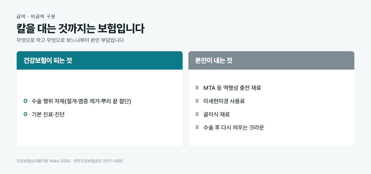 치근단절제술 건강보험 적용 비교. 급여는 수술 행위 자체인 절개와 염증 제거와 뿌리 끝 절단, 기본 진료와 진단. 비급여는 MTA 등 역행성 충전 재료, 미세현미경 사용료, 골이식 재료, 수술 후 크라운