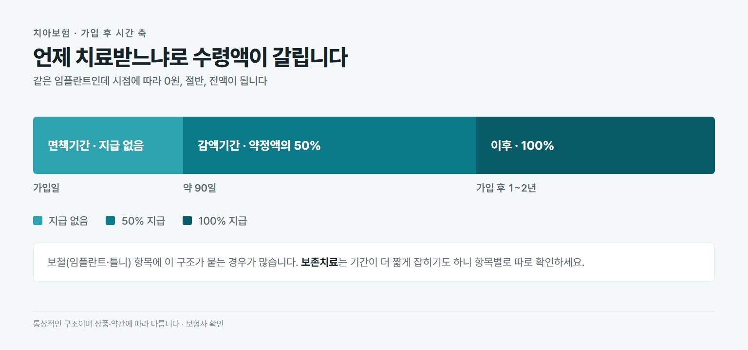 치아보험 면책기간과 감액기간 구조. 가입 후 약 90일은 면책기간으로 보험금 지급 없음, 이후 약 1~2년은 감액기간으로 약정액의 50퍼센트 지급, 그 이후 100퍼센트 지급