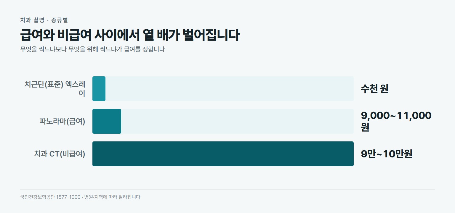 치과 촬영 종류별 비용 비교. 치근단 표준 엑스레이 수천 원 급여, 파노라마 엑스레이 약 9천~1만1천원 급여, 임플란트 등 비급여 목적의 치과 CT 약 9만~10만원