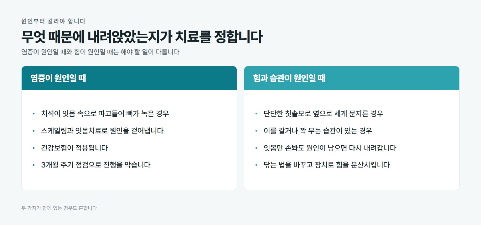 잇몸이 내려앉은 원인을 염증과 습관 두 갈래로 나눈 비교표