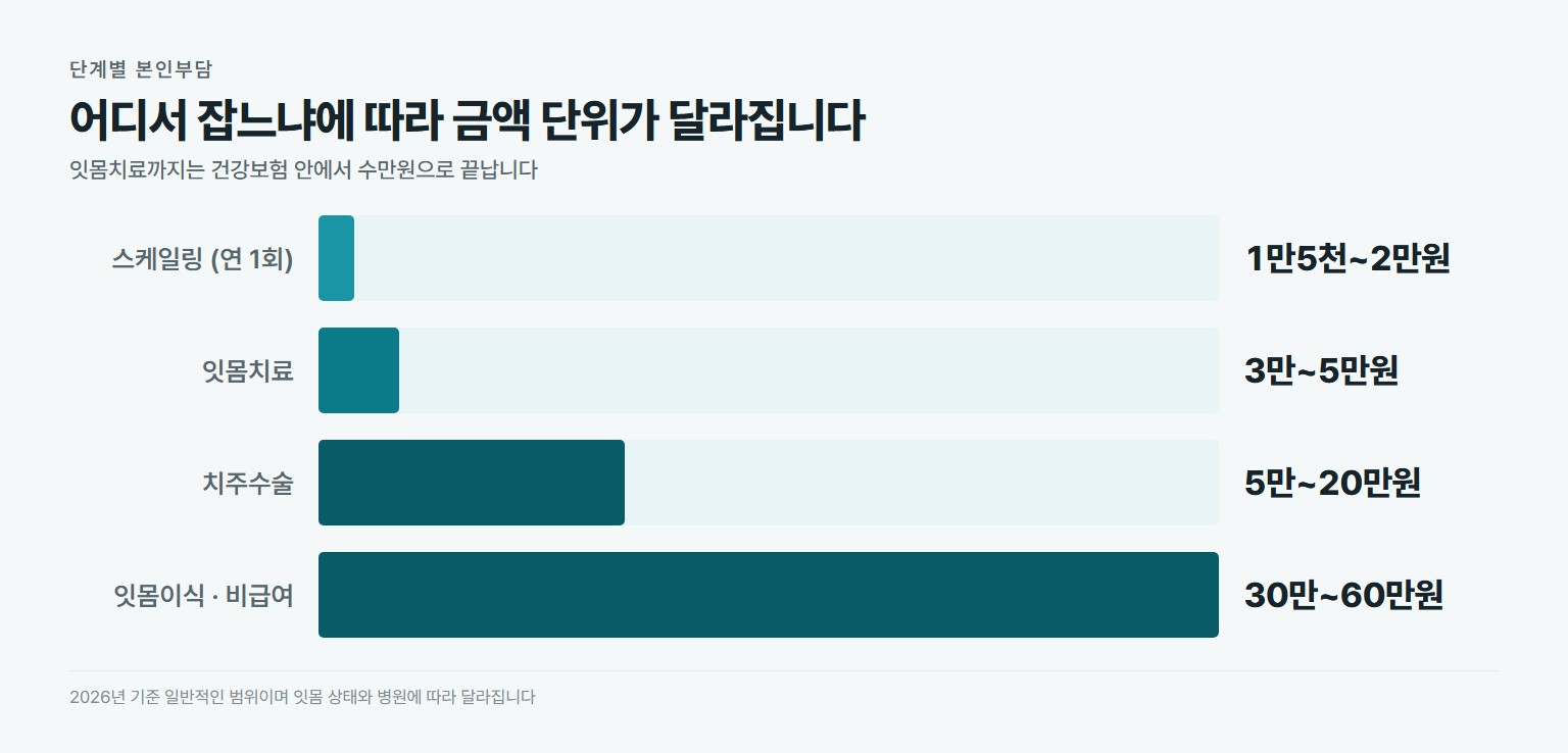스케일링부터 잇몸이식까지 단계별 본인부담 금액을 비교한 막대그래프