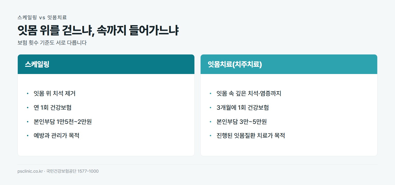 스케일링과 잇몸치료 비교. 스케일링은 잇몸 위 치석 제거, 연 1회 보험, 본인부담 1만5천~2만원, 예방과 관리 목적. 잇몸치료는 잇몸 속 깊은 치석과 염증 제거, 3개월에 1회 보험, 본인부담 3만~5만원, 진행된 잇몸질환 치료