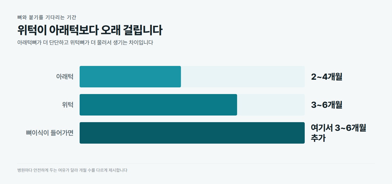 아래턱 2~4개월과 위턱 3~6개월, 뼈이식 추가분을 비교한 골유착 기간 그래프