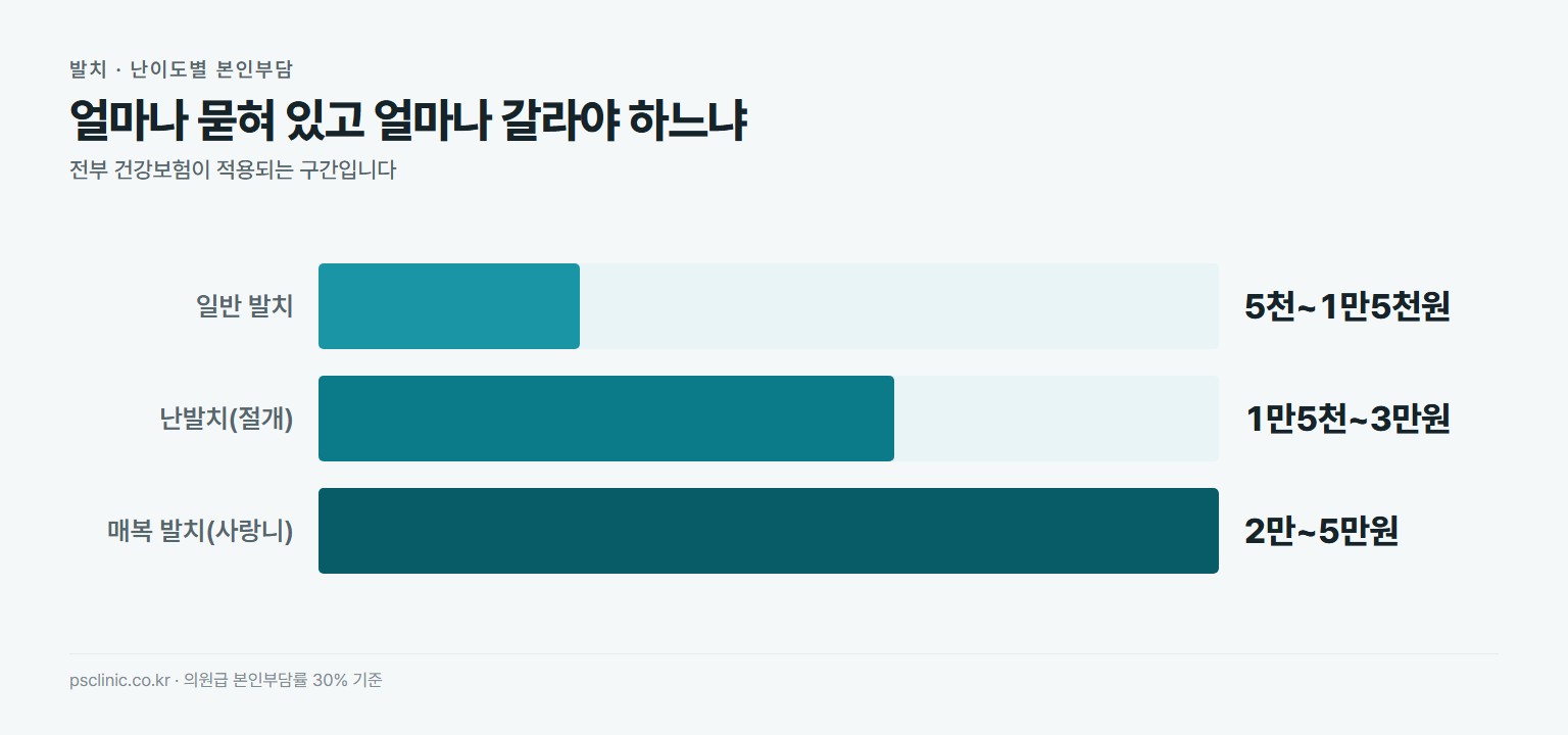 발치 난이도별 본인부담 비교. 일반 발치 약 5천~1만5천원, 난발치 절개 약 1만5천~3만원, 매복 발치 사랑니 약 2만~5만원